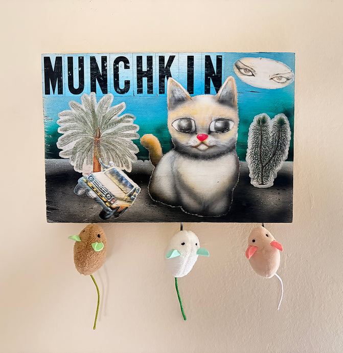 Abars “Munchkin”