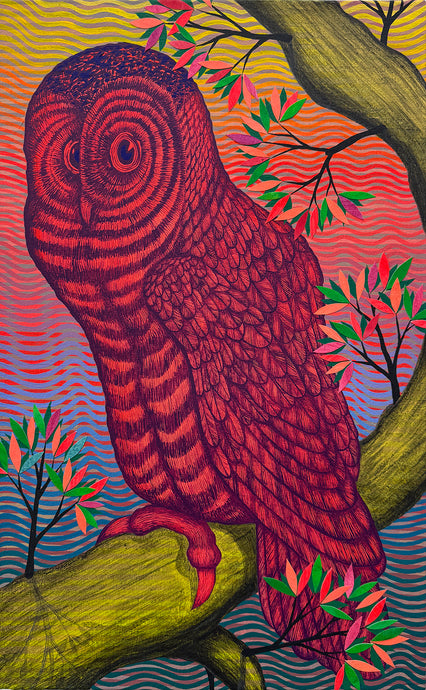 Andrew Schoultz 