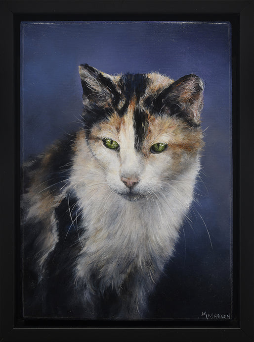 Brian Mashburn “Alley Cat”
