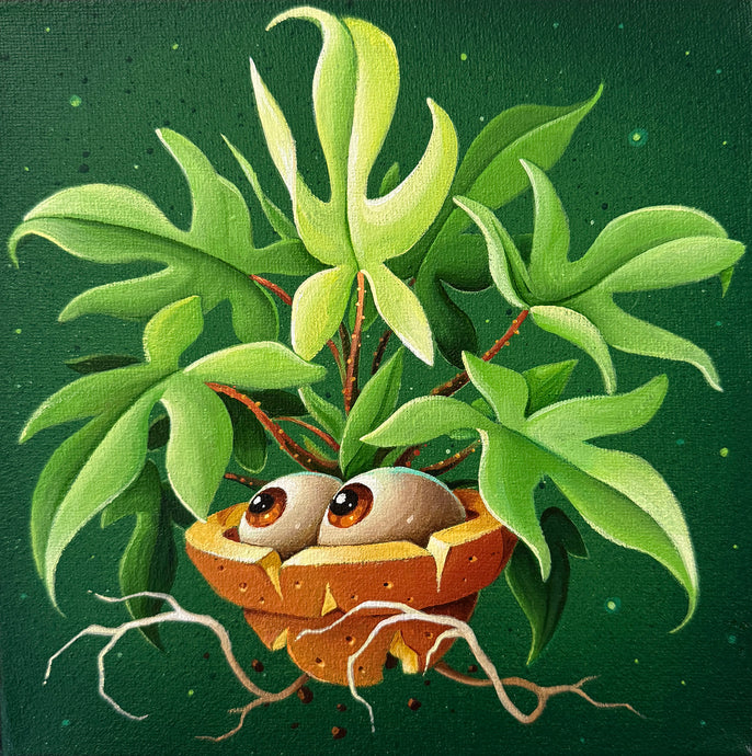 ABYS 'Baby Plant - Florida Ghost'