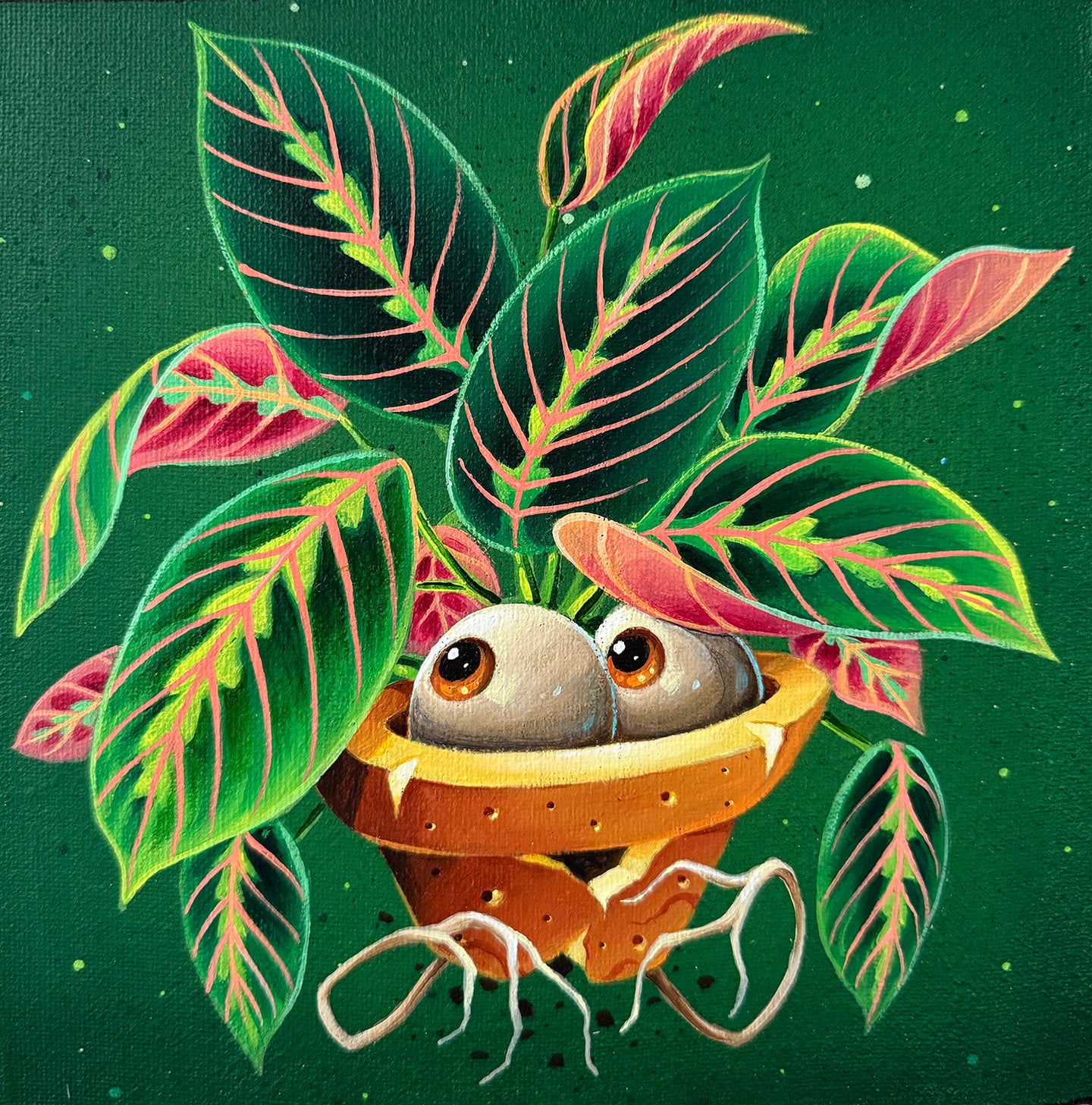 ABYS 'Baby Plant - Maranta Fascinator'