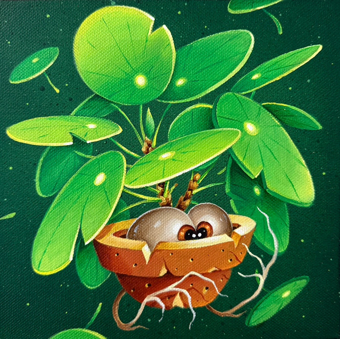ABYS 'Baby Plant - Pilea'