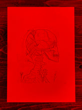 Insane 51 "Core Exposure (sketch)"