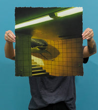 Chris Austin "Peek A Boo” Print