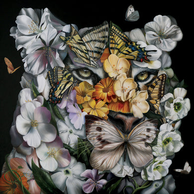 Clare Toms - 