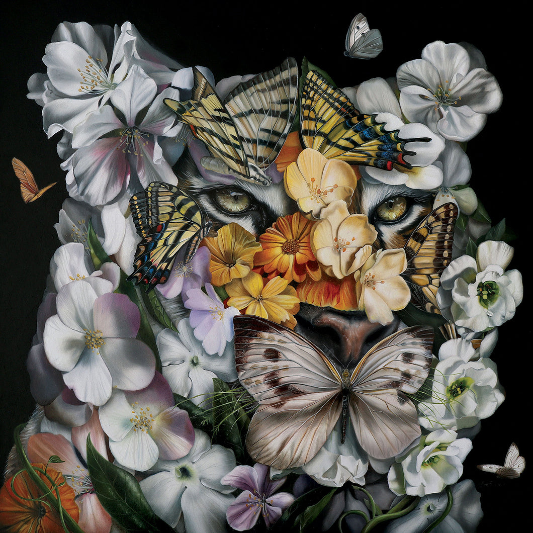 Clare Toms - 