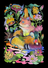 Fumi Nakamura - "P/S Hammy and Mandarin Duck”