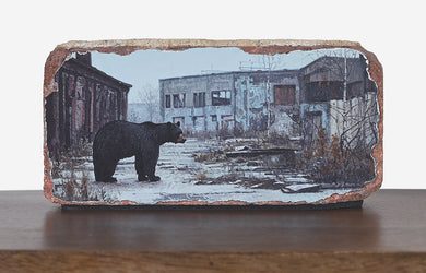 Kevin Peterson - 