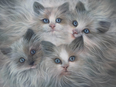 Roos van der Vliet “At Least There Are Kittens”