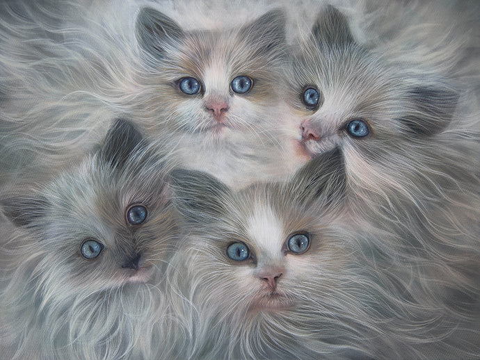 Roos van der Vliet “At Least There Are Kittens”