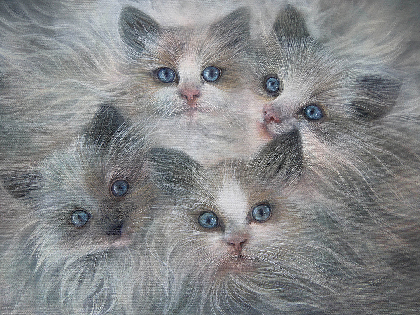 Roos van der Vliet “At Least There Are Kittens”