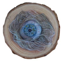 Roos van der Vliet - "Occuli I”
