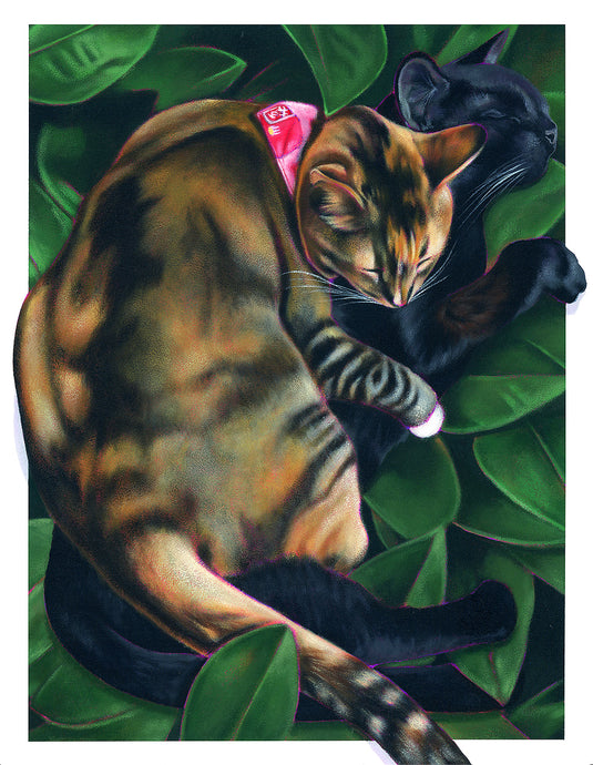 Steve Martinez “Purrfect Pair”