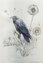 Alexis Mata "The Crow Among Dandelions"